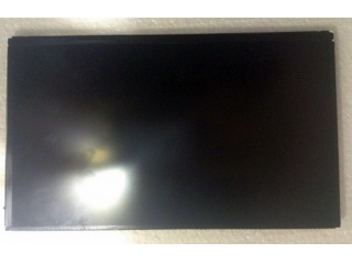 LG Display液晶模组LP101WH4-SLP2
