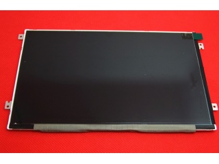 LG Display液晶模组LD070WS2-SL05