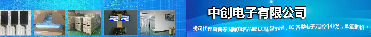 中创电子有限公司