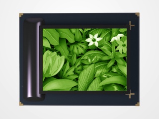 国兆OLED屏OLP060SVG01