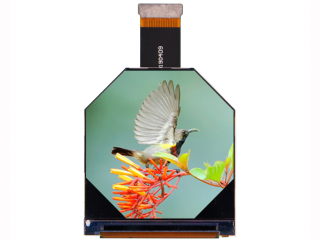 京东方 2.1" 平面异形 IPS 液晶模组 1600×1600 480nits WLED MIPI 24pins 90Hz