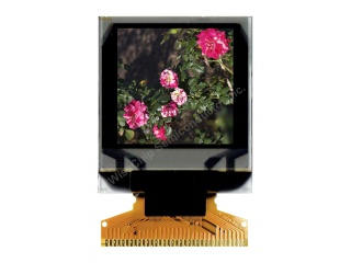 智晶OLED屏UG-9696TDDJG02