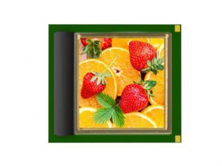 湖畔光电OLED屏LS2K099PC