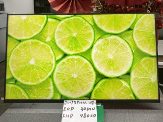 京东方液晶模组EV173FHM-N81