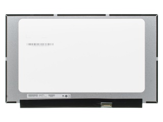 友达液晶模组B156XTN08.0 HWNA