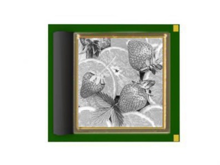 湖畔光电OLED屏LS2K099PW