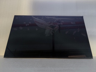 LG Display液晶模组LM238WQ1-SSB1