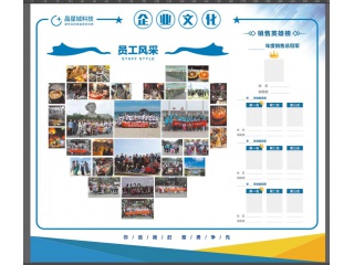 深圳市晶星城科技电子有限公司