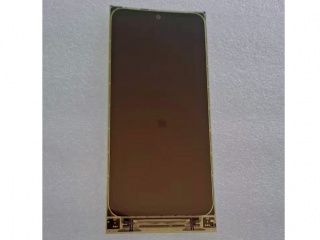 和辉光电OLED屏E678FTZ32.A