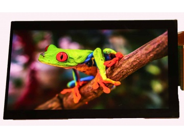 5" Ultrabright Quantum Dot IPS LCD 1080*1920 2000cd/m² MIPI Interface 31Pins PCAP Viewable