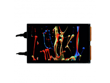 7" WUXGA 1200x1920 incell touch, 700 high brightness, 80% gamut, daylight readable, 2020 produc