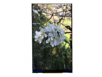 4.3吋TFT LCD, IPS free顯示屏, 480xRGBx800, 700高亮度, 51pins , MCU/RGB 接口, 若有模組設計客製需求歡迎詢問.