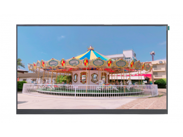 15.6寸, 1920x1080, 500亮度, 20pins, eDP/HDMI Interface, IPS液晶模组, 16.7M, 若有模組設計客製需求歡迎詢問.