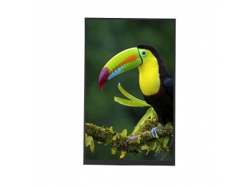 10.1寸液晶屏 800x1280分辨率 250亮度 31pins MIPI接口ips液晶显示屏 厂家供应