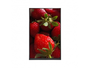 10.1寸液晶屏 800×1280分辨率 MIPI接口 40pin tft lcd竖屏 TFT-LCD液晶模组