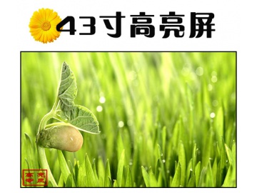 43寸高亮液晶屏 1920*1080 IPS液晶屏 3500亮度 51PINS LVDS 户外高亮液晶屏 阳光下可视