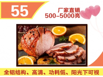 55寸高亮液晶屏 1920*1080 IPS液晶屏 4000亮度 51PINS LVDS 户外高亮液晶屏 阳光下可视