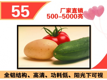 55寸高亮液晶屏 1920*1080 IPS液晶屏 2000亮度 51PINS LVDS 户外高亮液晶屏 阳光下可视