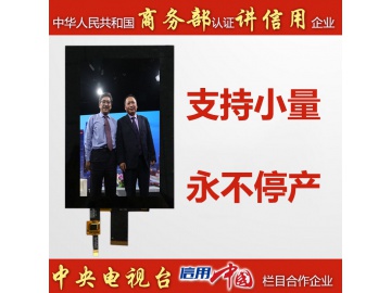 6.0寸带电容触摸720*1440, 480亮度, 30pins MIPI接口, ILI9881C GT911 TFT液晶显示模块