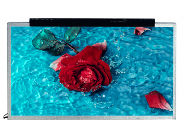 15.6寸, 1920x1080, 500亮度, IPS工控屏, 30pins, eDP （可定制）