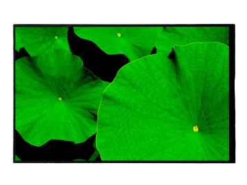 10.1寸, 800*1280, 400亮度, 2.50厚度, 40pins, MIPI, IPS超薄竖屏液晶模组