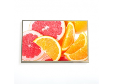 10.1寸TFT液晶显示屏 800*1280 IPS液晶屏 1000亮度 40PIN LVDS 高亮