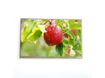 10.1寸 1280x800 IPS液晶显示屏 350高亮 40PIN LVDS接口 TFT LCD工业显示屏