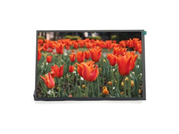 10.1寸TFT 液晶显示屏 1920*1200 500亮度 IPS液晶屏 45PINS LVDS 工业液晶屏