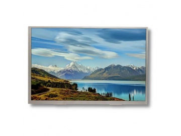 10.1" TFT显示屏, IPS液晶屏, LVDS接口, 高分辨率, 1280x800像素, 用于车载显示, 医疗和工控设备