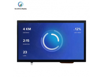 10.1Inch IPS 1024X600 带电容触摸屏