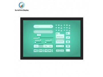 阳光下可读 高亮 10.1Inch 1280X800 IPS 带 CTP