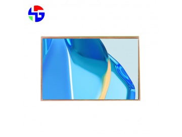 10.1英寸TFT液晶显示屏 1280x800 270亮度 IPS 电容触摸屏 40PINS LVDS