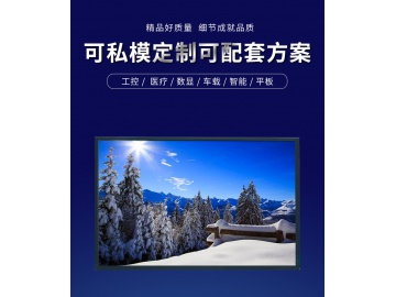 10.1寸TFT液晶显示屏 1920*1200 500亮度 45PINS LVDS 工业液晶屏
