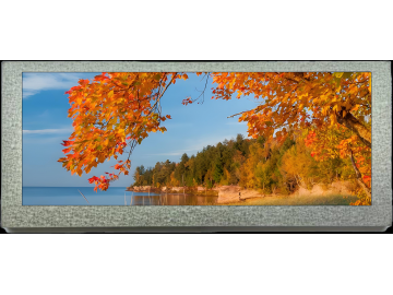 8.8寸TFT液晶显示屏 IPS液晶屏 600*1600 LVDS 60PINS 1000亮度 高亮液晶屏