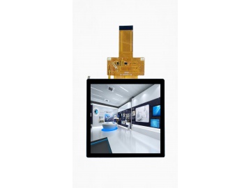 3.95寸TFT液晶显示屏 IPS液晶屏 480*480 RGB 50PINS 350亮度