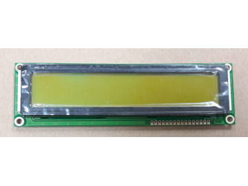 20字符&times;2行单色FSTN点阵液晶显示屏, 2002 LCD